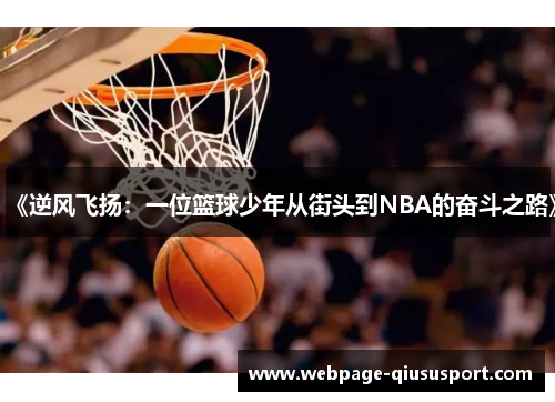 《逆风飞扬：一位篮球少年从街头到NBA的奋斗之路》